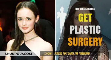 Alexis Bledel's Transformation: Plastic Surgery Rumors Explored