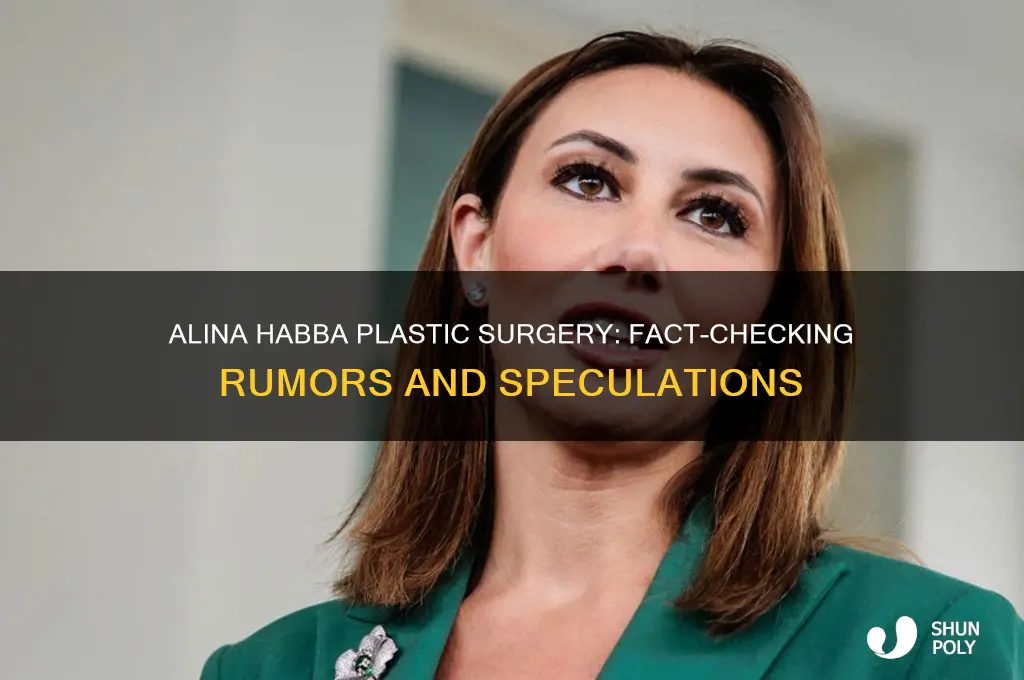 did alina habba have plastic surgery