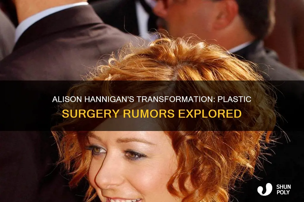 did alison hannigan get plastic surgery