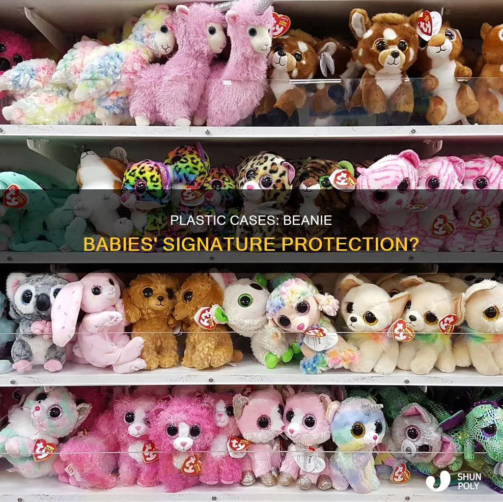 did all beanie babies have plastic cases