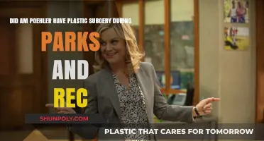 Amy Poehler's Parks and Rec Transformation: Plastic Surgery Speculation
