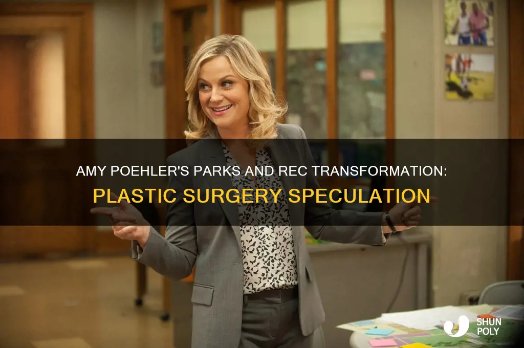 did am poehler have plastic surgery during parks and rec