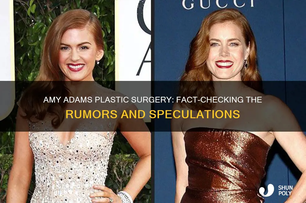 did amy adams get plastic surgery