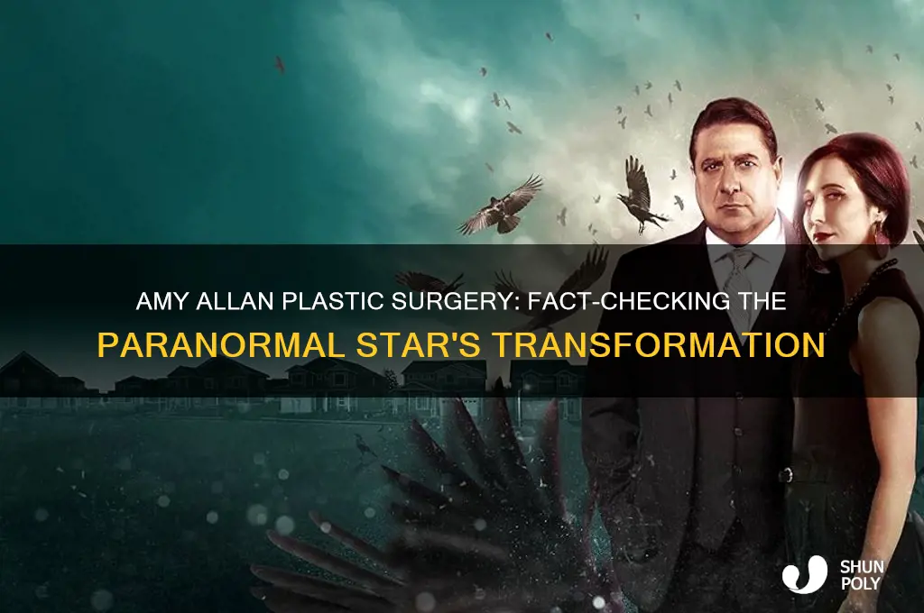 did amy allan get plastic surgery