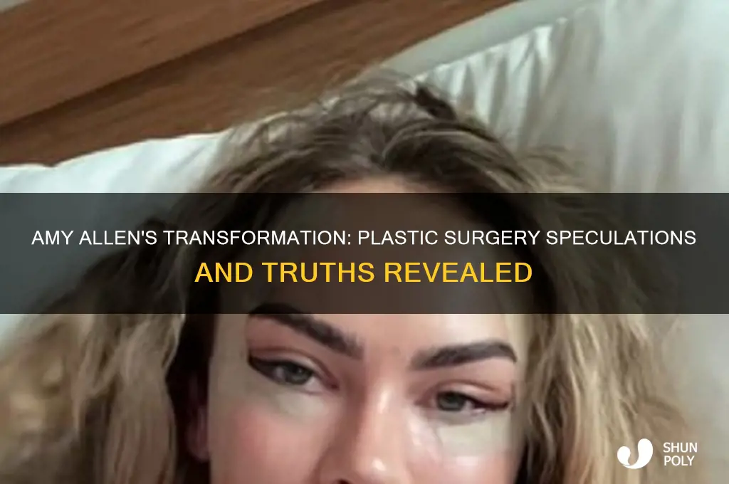 did amy allen have plastic surgery