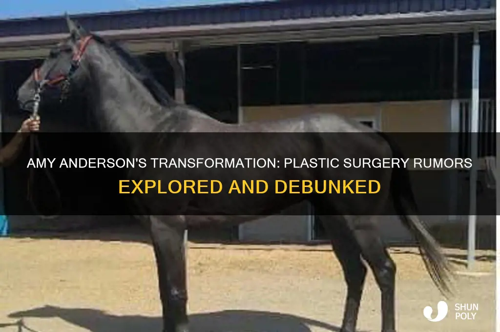 did amy anderson get plastic surgery