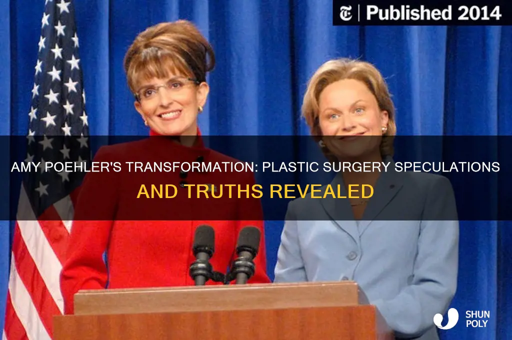 did amy pohler have plastic surgery