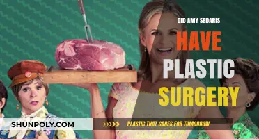 Amy Sedaris Plastic Surgery: Fact-Checking the Transformation Rumors