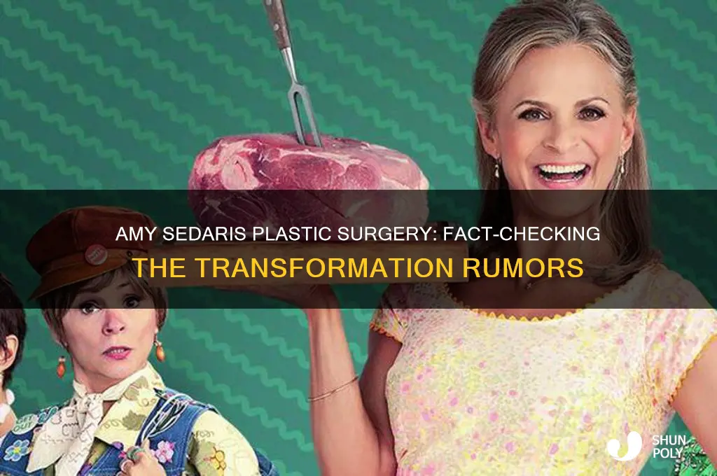 did amy sedaris have plastic surgery