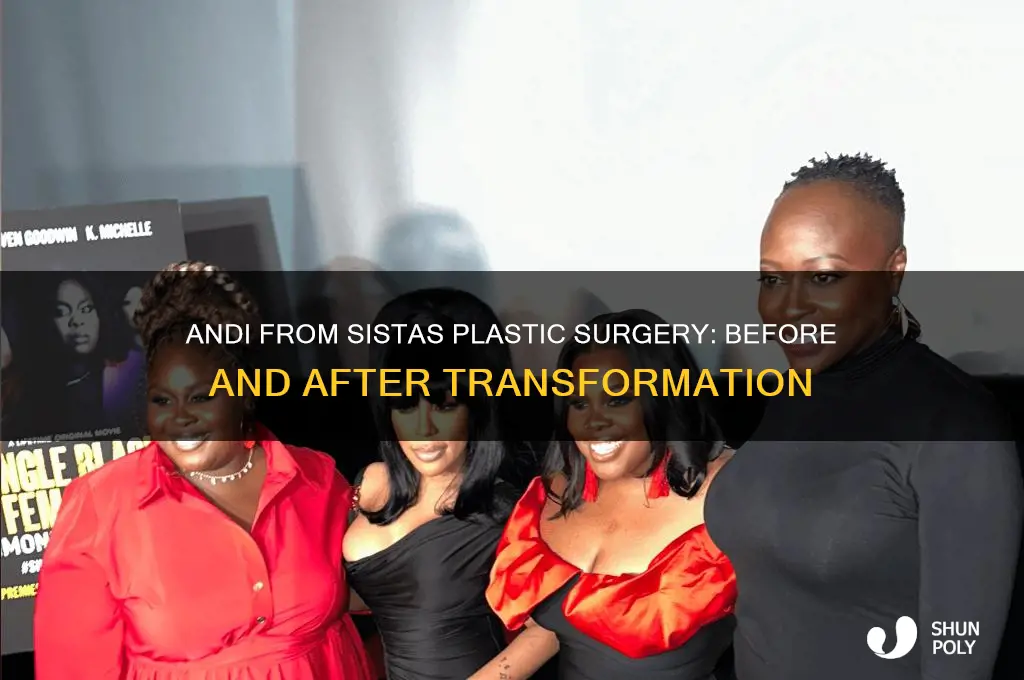 did andi from sistas have plastic surgery before and after