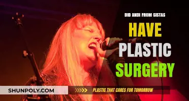 Did Andi From Sistas Undergo Plastic Surgery? The Truth Revealed