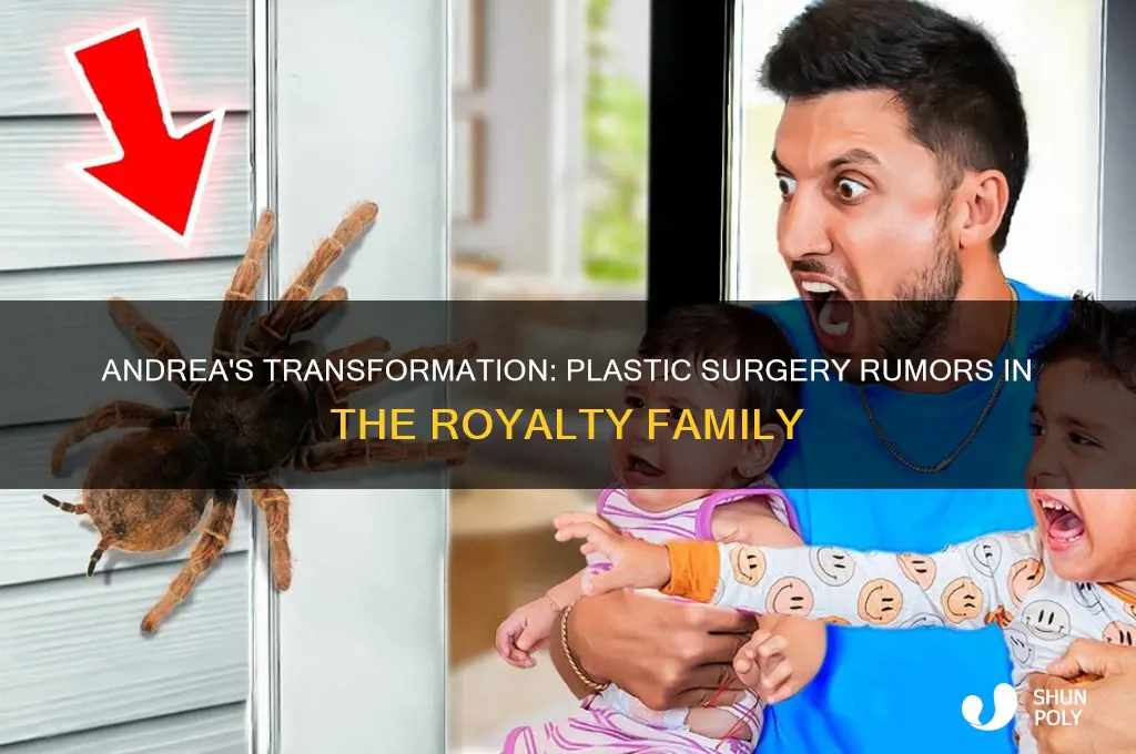 did andrea from the royalty family get plastic surgery