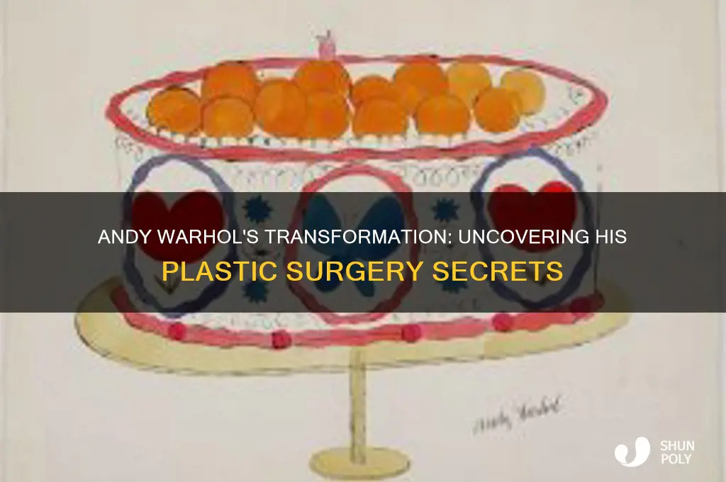 did andy warhol get plastic surgery