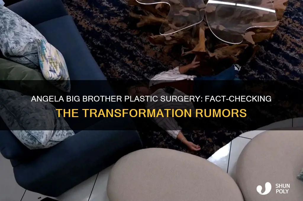did angela from big brother have plastic surgery