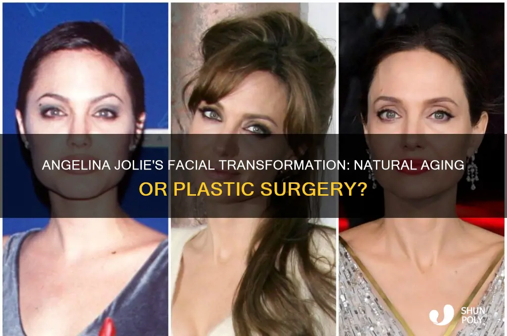 did angelina jolie have plastic surgery on her face