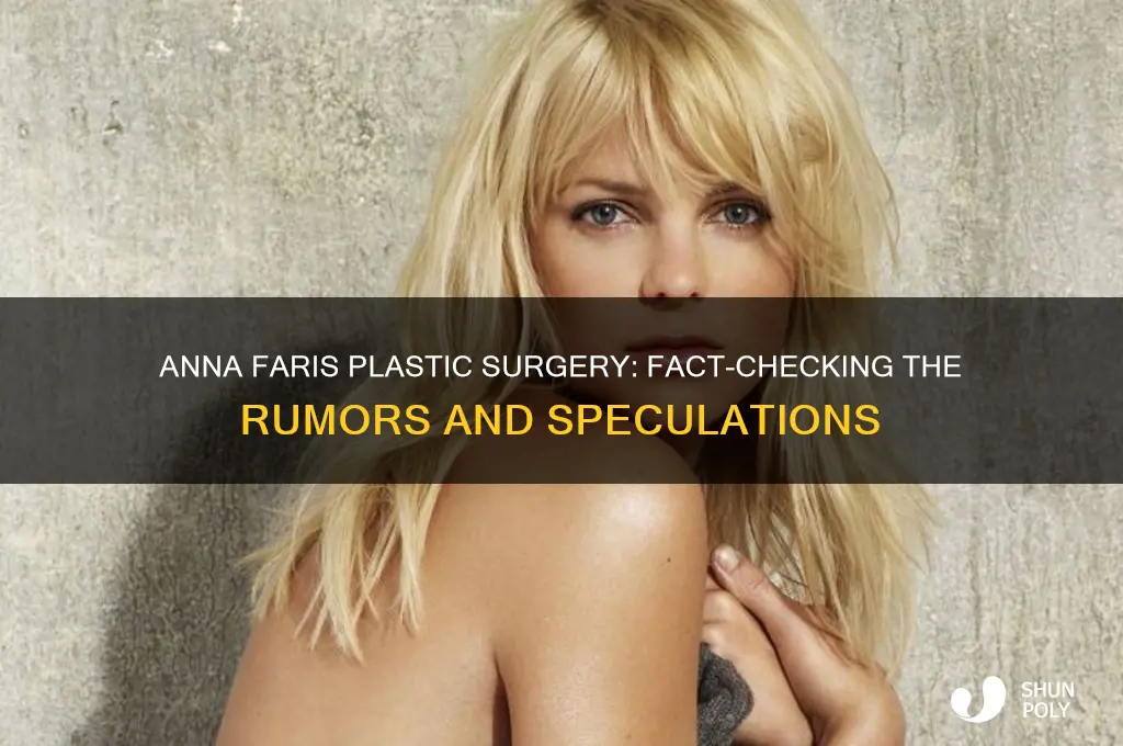 did anna faris get plastic surgery