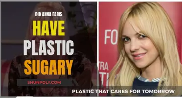 Plastic Surgery Secrets of Anna Faris Revealed