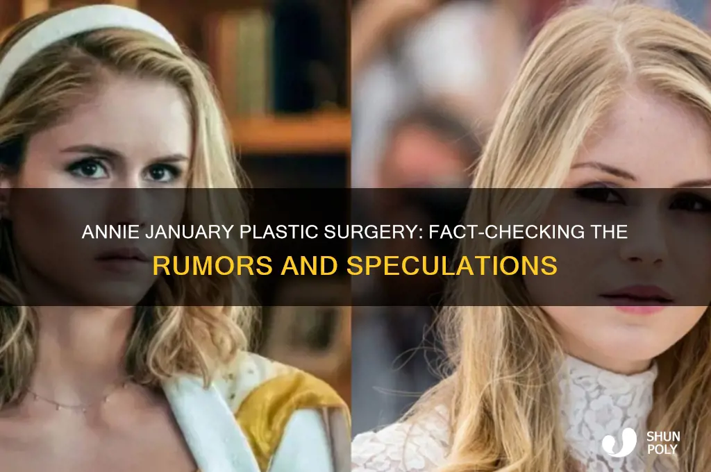 did annie january get plastic surgery