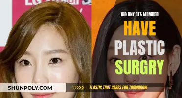 Plastic Surgery and BTS: Fact or Fiction?