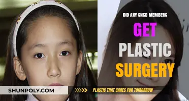 SNSD Members and Plastic Surgery: Unveiling the Truth Behind the Rumors