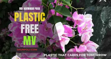 Plastic-Free MV: Aquinnah's Commitment to Sustainability