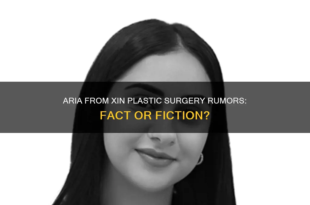 did aria from xin did plastic surgery