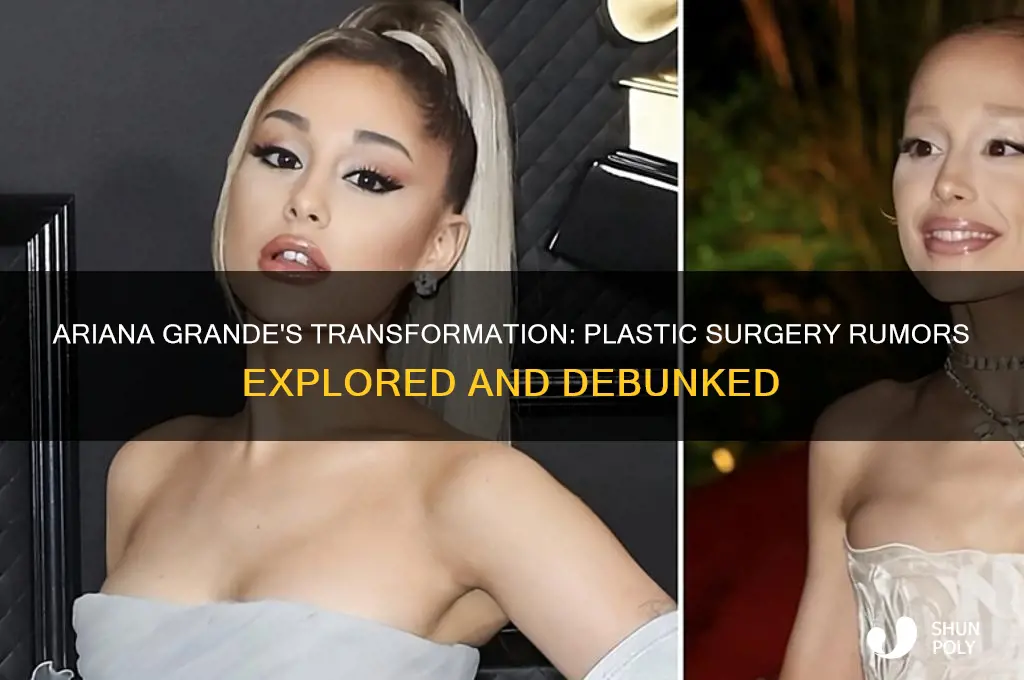 did ariana do plastic surgery