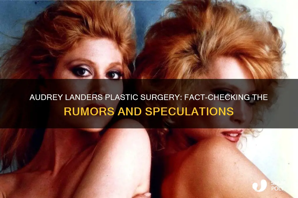 did audrey landers have plastic surgery