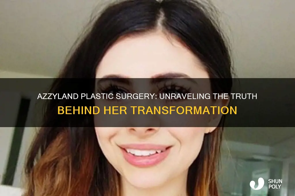 did azzyland get plastic surgery