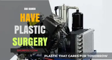 Bambi's Transformation: Unveiling the Truth About Plastic Surgery Rumors