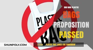 Plastic Bags: Banned or Not?