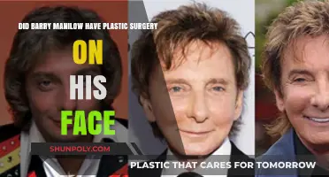 Barry Manilow's Transformation: Unveiling the Truth About His Facial Surgery