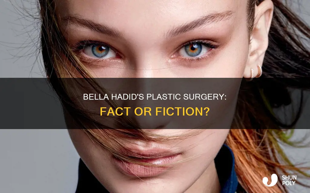did bella hafid have plastic surgety