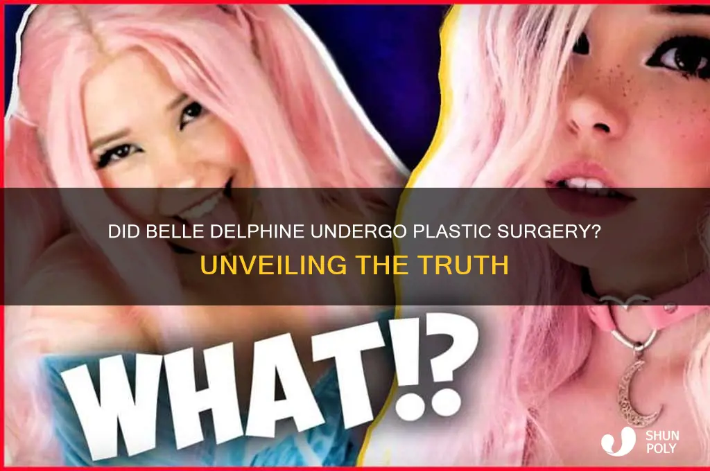 did belle delphine get plastic surgery