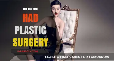 Unveiling Fan Bingbing's Transformation: Plastic Surgery Speculations Explored