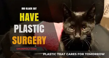 Black Cat's Transformation: Plastic Surgery Rumors Explored and Debunked