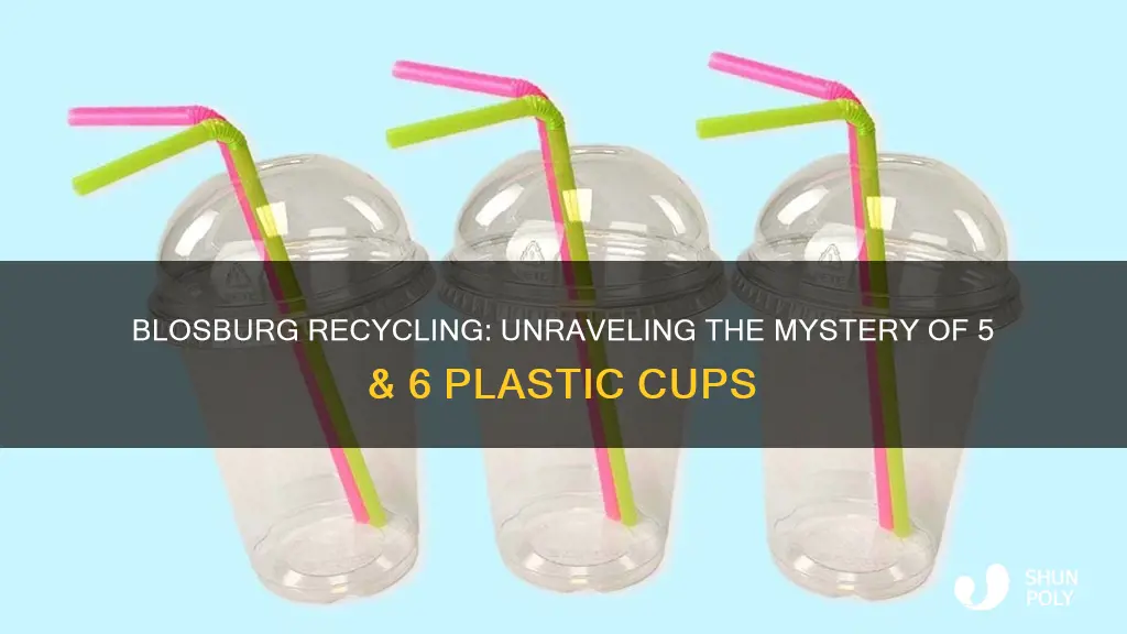 did blosburg recycling accept 5 & 6 plastic cup