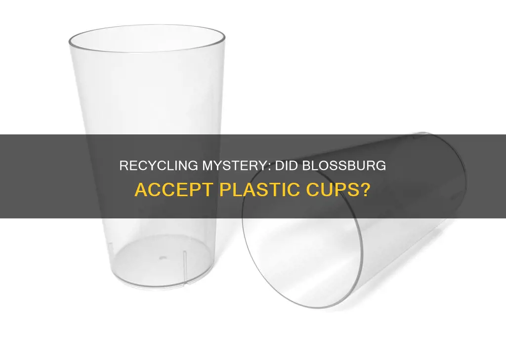 did blosburg recycling accept 5 & 6 plastic cup