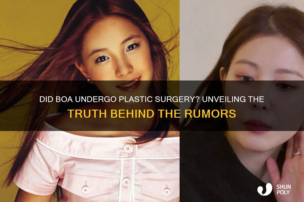 did boa get plastic surgery