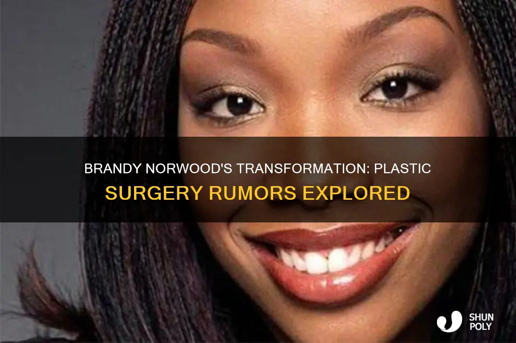 did brandy norwood have plastic surgery