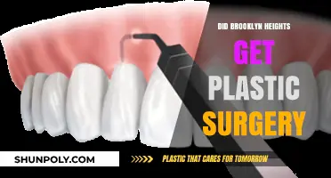 Brooklyn Heights Plastic Surgery Rumors: Fact or Fiction?