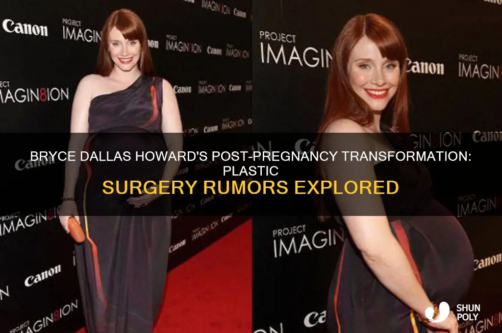did bryce dallas howard have plastic surgery after pregnancy