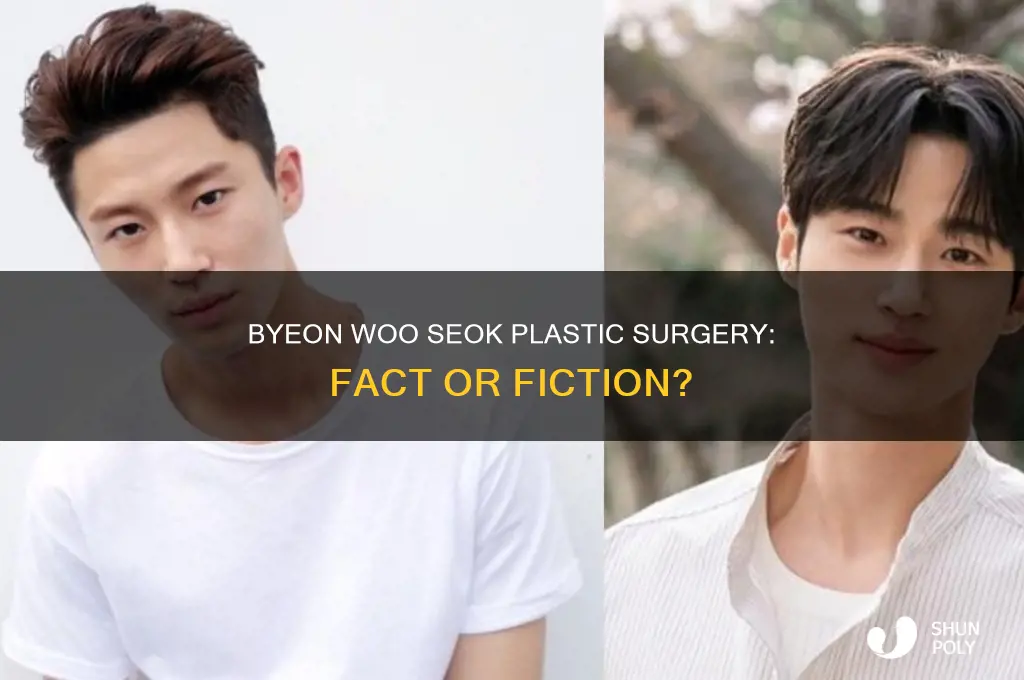 did byeon woo seok get plastic surgery