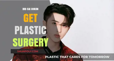 Cai Xukun Plastic Surgery Rumors: Fact or Fiction?