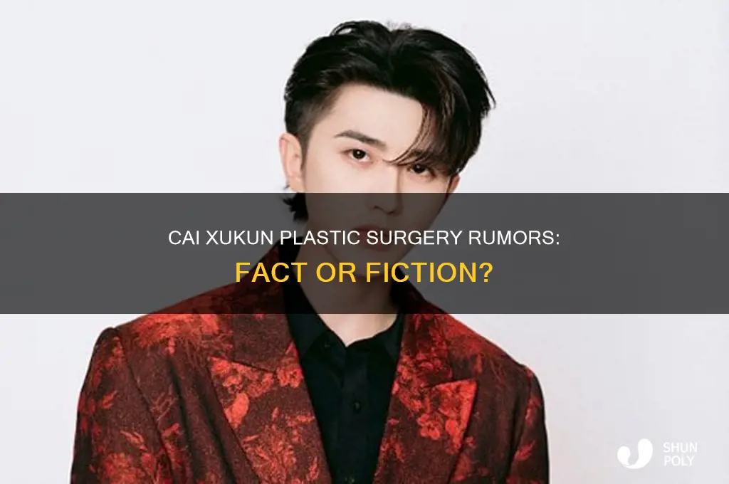 did cai xukun get plastic surgery