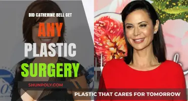 Catherine Bell's Transformation: Plastic Surgery Rumors Explored and Debunked