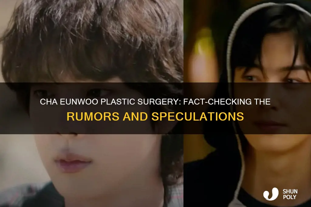 did cha eunwoo get plastic surgery