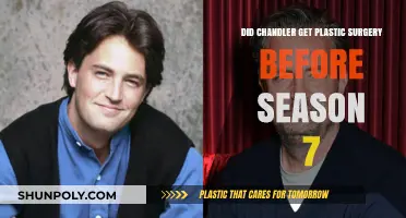 Chandler's Transformation: Plastic Surgery Speculations Before Season 7