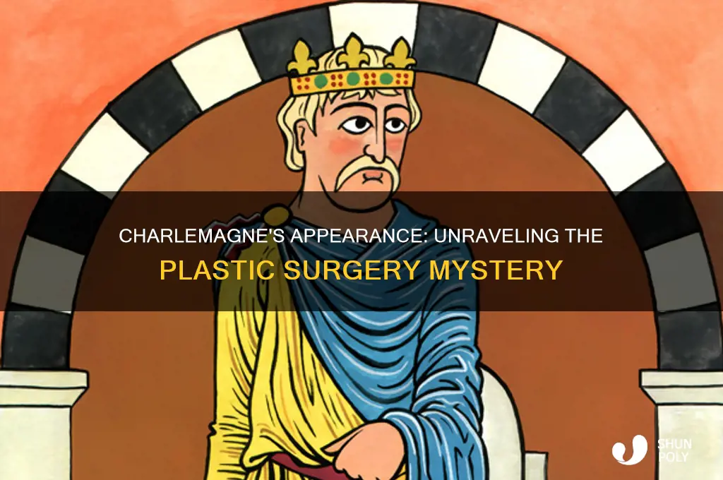 did charlemagne have plastic surgery