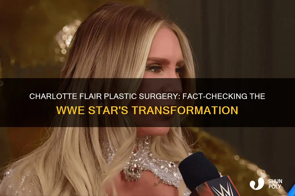 did charlette flair have plastic surgery